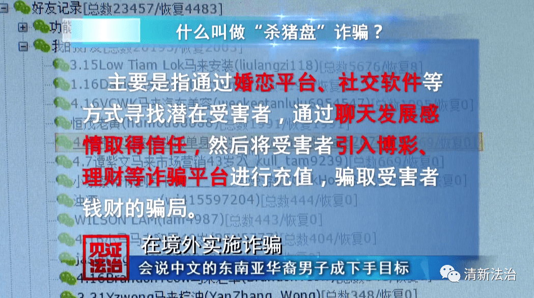 2004澳门天天开好彩大全,澳门天天开好彩，揭示背后的真相与警示公众的重要性