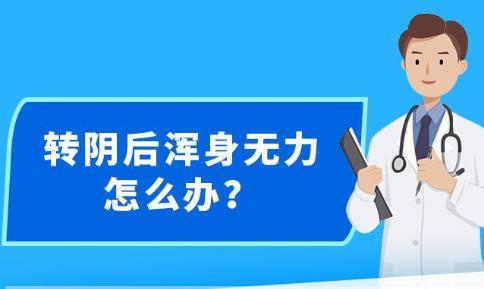 新澳精准资料免费提供生肖版,警惕虚假信息陷阱，关于新澳精准资料免费提供生肖版的真相探讨