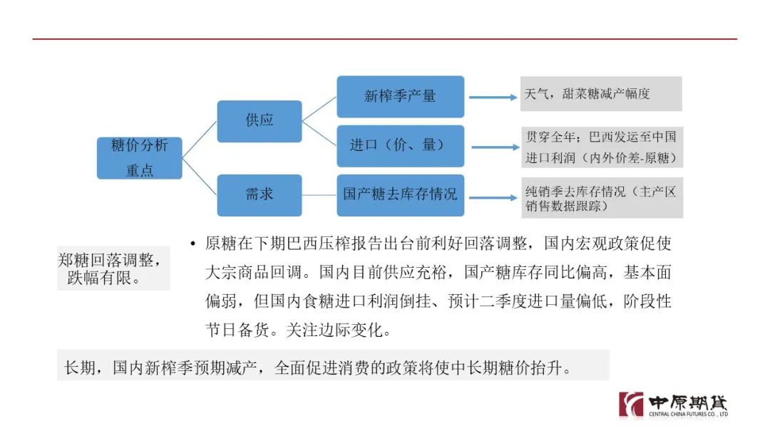 2024新浪正版免费资料,新浪正版免费资料的未来展望，迈向2024年的数字化时代新篇章