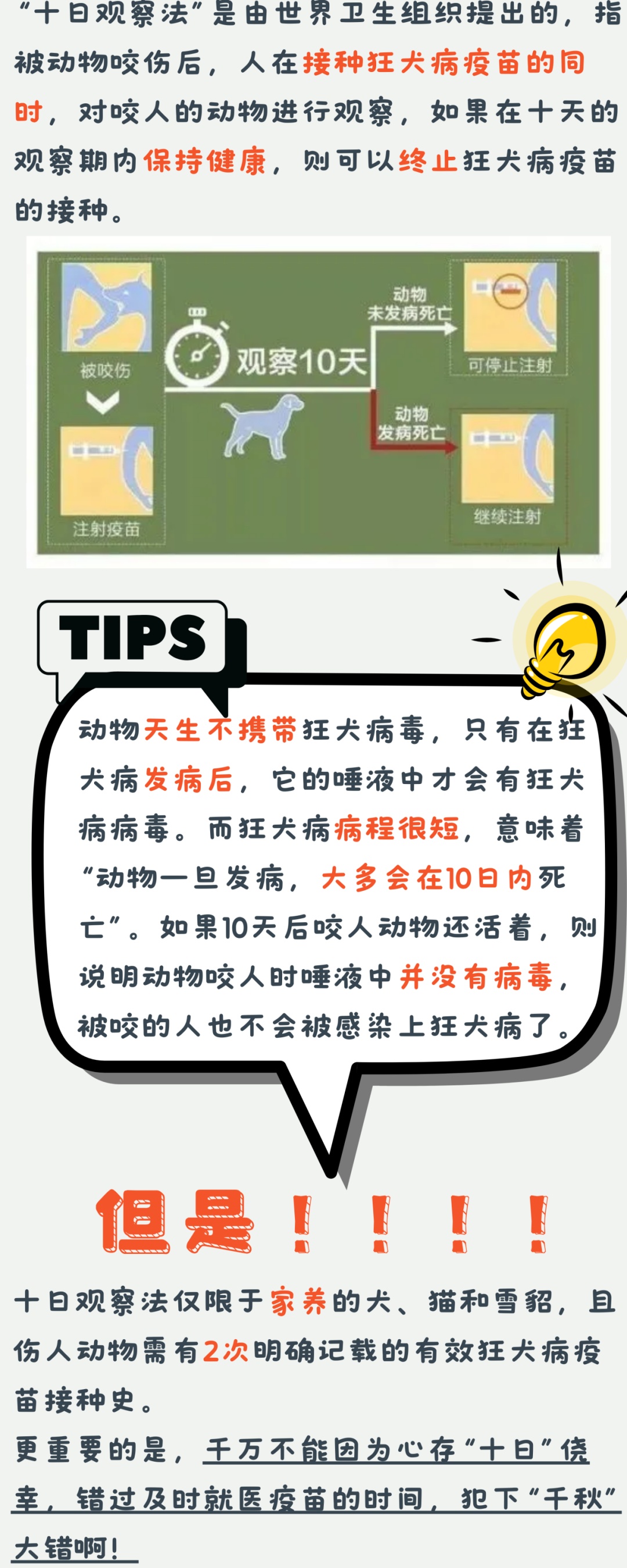 澳门管家婆四肖选一肖期期准,澳门管家婆四肖选一肖期期准——揭开神秘面纱下的犯罪真相