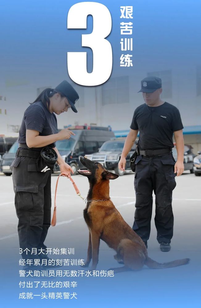 今天新澳门正版挂牌,关于今天新澳门正版挂牌的真相与警示——警惕违法犯罪行为