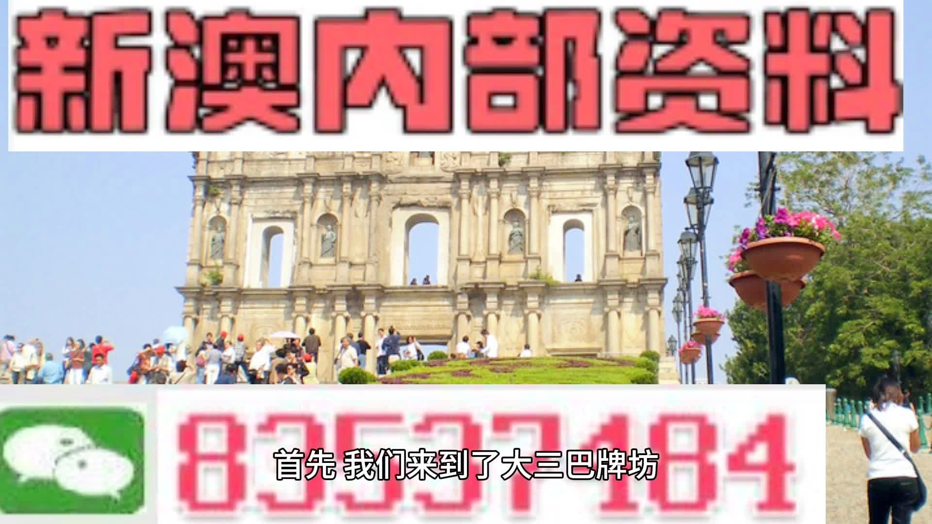 新澳2024最新资料,新澳2024最新资料深度解析