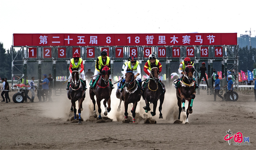 2024今晚香港开特马开什么,探索香港赛马文化，2024今晚特马开跑的奥秘