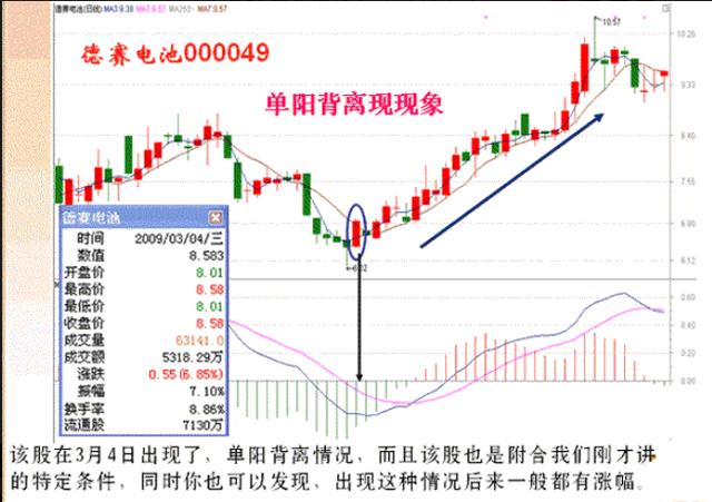 2024精准管家婆一肖一马,揭秘精准管家婆，一肖一马的神秘预测与未来展望（2024年）