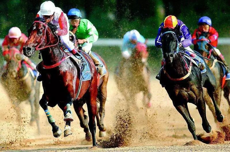 香港今晚开什么特马,香港今晚开什么特马，探索赛马文化背后的故事