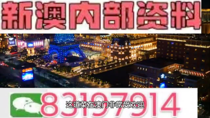 2024新澳资料免费精准17期,探索新澳资料，免费精准资源助力未来成长（第17期）